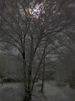 雪明かり